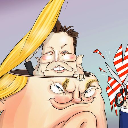 Trump Musk Cartoon